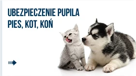 ubezpieczenie dla pupila